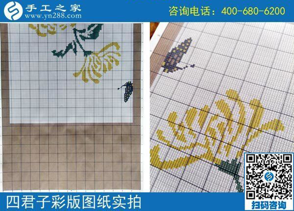 手工之家雅薇麗珠繡圖紙（梅蘭竹菊）新款，彩色升級(jí)版！(圖4)
