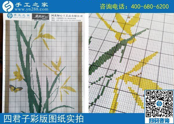 手工之家雅薇麗珠繡圖紙（梅蘭竹菊）新款，彩色升級(jí)版！(圖5)