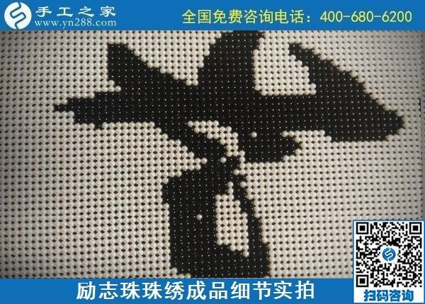 9月15日，想在家做手工活掙錢(qián)，越來(lái)越多的人選擇這個(gè)可以寄到家做的手工活，勵(lì)志珠珠繡成品細(xì)節(jié)實(shí)拍
