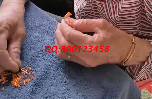 在家做手工活掙錢(qián)，這里的珠繡外發(fā)加工手工活很受歡迎(圖1)