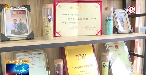 用心去種，才能成就一棵能擋雨納涼的大樹 --- --- 手工之家植樹節(jié)有感