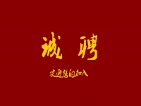 千百匠全國運營中心招人啦?。?！