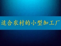 適合農(nóng)村的小型加工廠，月入2萬(wàn)不算多，你有時(shí)間也能做