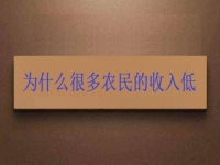 為什么很多農(nóng)民的收入低？這2點(diǎn)做好了，在家兼職手工活收入是杠杠滴