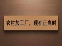 這個(gè)農(nóng)村加工廠項(xiàng)目，沒(méi)關(guān)系、沒(méi)錢(qián)也可以做好，你還等什么？