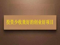 投資不到3萬，1個人就能干，利潤很高，每天收入能上千，我能做嗎