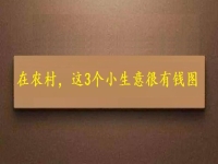 都說在農(nóng)村不好賺錢，可以試試這幾個小生意，很有“錢”圖