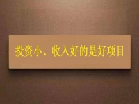 投資這么小，為什么收入?yún)s能這樣好？這個(gè)拿回家做的手工項(xiàng)目給出了答案