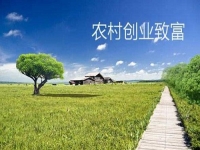 新型農(nóng)村創(chuàng)業(yè)小項目，會拍短視頻就能賺錢，兼職副業(yè)都可以做