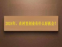 2024年，在村里創(chuàng)業(yè)還有什么好機(jī)會(huì)？
