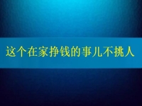 這個(gè)在家掙錢的事兒不挑人，2024要掙錢，你我就靠它了