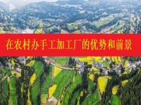 發(fā)掘農(nóng)村優(yōu)勢，讓返鄉(xiāng)創(chuàng)業(yè)開手工加工廠成為更多人掙錢增收的好辦法