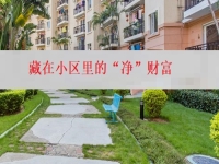 在城里創(chuàng)業(yè)辦純手工加工廠，就是找到了藏在小區(qū)里的“凈”財富