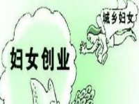 農(nóng)村創(chuàng)業(yè)、城市創(chuàng)業(yè)，家庭主婦等女士做手工傳承官都是自帶優(yōu)勢(shì)