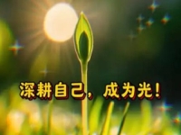 在家想掙錢，想多掙錢，哪些純手工會(huì)讓人一直愿意做下去？