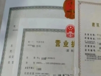 2025年要做的小成本創(chuàng)業(yè)項(xiàng)目，開純手工加工廠掙錢不會(huì)倒閉，能長(zhǎng)期做下去