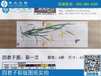 手工之家雅薇麗珠繡圖紙展示：一學(xué)就會，一看就懂的手工活！
