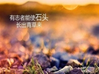 做微商賺不到錢？你是不是犯了這個(gè)錯(cuò)誤