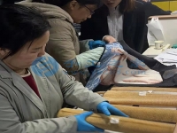在家庭工作做手工活外接串珠子，常年輕松快樂(lè)把錢賺